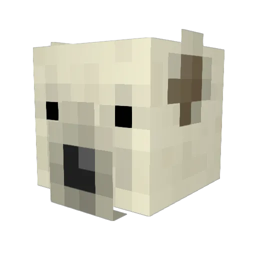 Caitlyn7703 Minecraft avatar head, 3D render