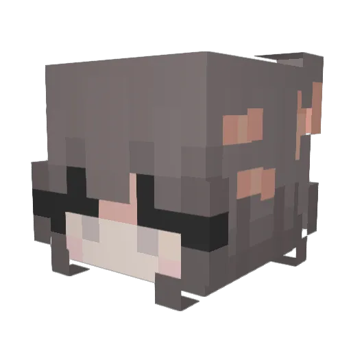 Caitspace Minecraft avatar head, 3D render