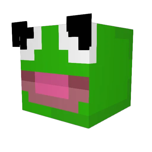 Caity07 Minecraft avatar head, 3D render