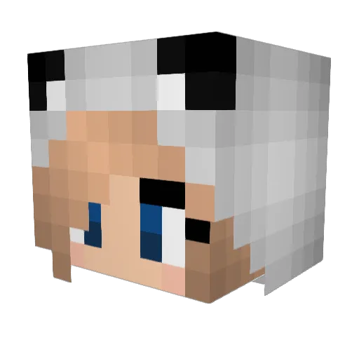 CaityM512 Minecraft avatar head, 3D render