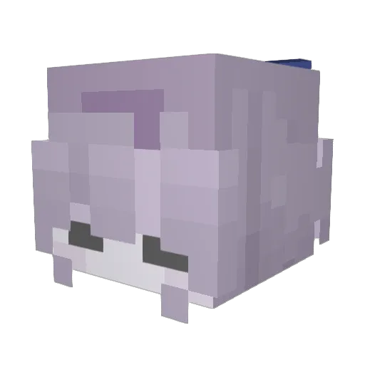 CaixoteBR Minecraft avatar head, 3D render