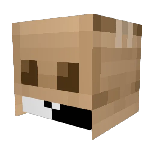 Caja_jas Minecraft avatar head, 3D render