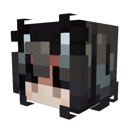 Cajunwildcat Minecraft avatar head, 3D render