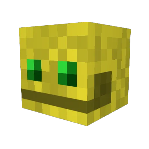 CajvsErlis Minecraft avatar head, 3D render