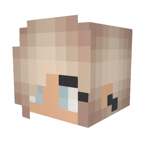Cake0212 Minecraft avatar head, 3D render