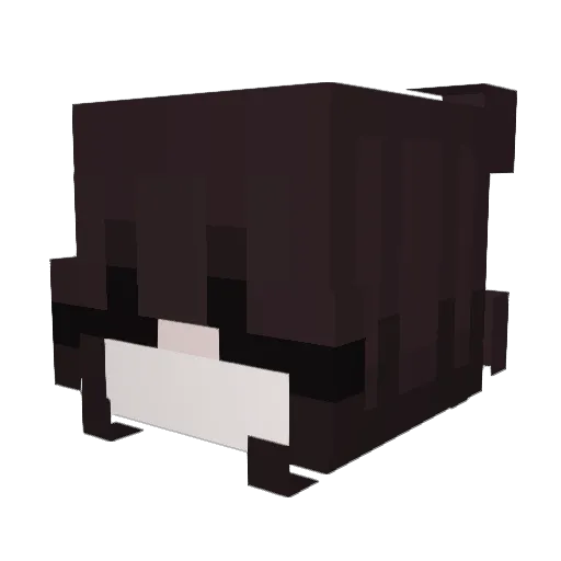 Cake211 Minecraft avatar head, 3D render