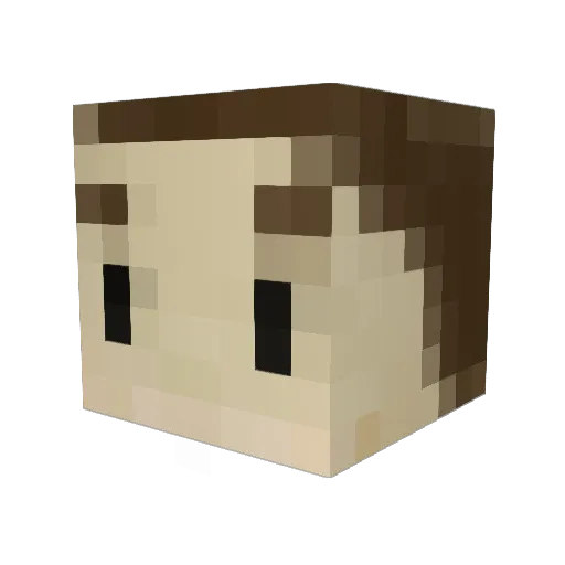 CakeCam Minecraft avatar head, 3D render