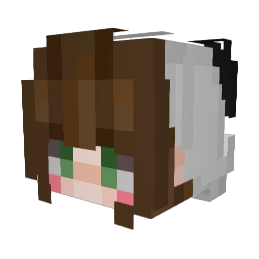 CakeDayZ Minecraft avatar head, 3D render