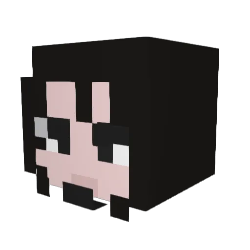 CakeDude772 Minecraft avatar head, 3D render