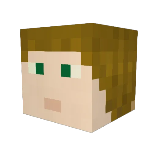 CakeFrog4 Minecraft avatar head, 3D render