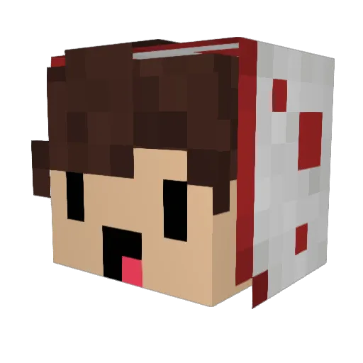 CakeSlayer08 Minecraft avatar head, 3D render