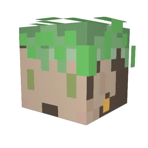 CakeTheFabulous Minecraft avatar head, 3D render