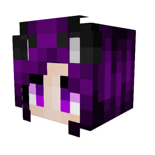 CakeTrashPanda Minecraft avatar head, 3D render