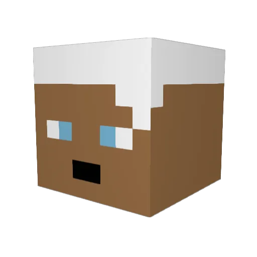 Cake_Rulez Minecraft avatar head, 3D render