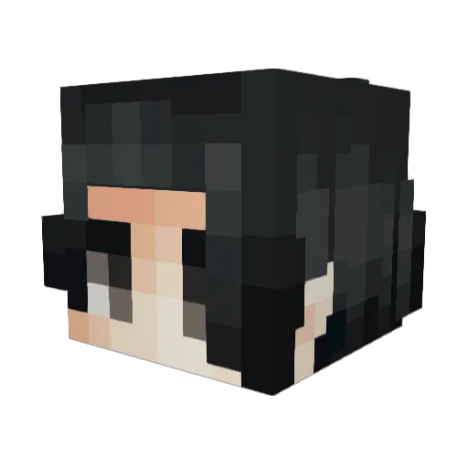 Cakeassassin Minecraft avatar head, 3D render