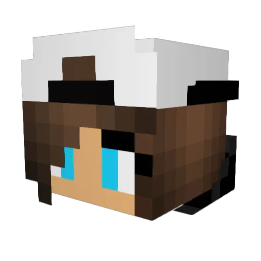 Cakecreeper12 Minecraft avatar head, 3D render