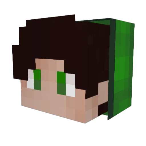 Cakypa Minecraft avatar head, 3D render