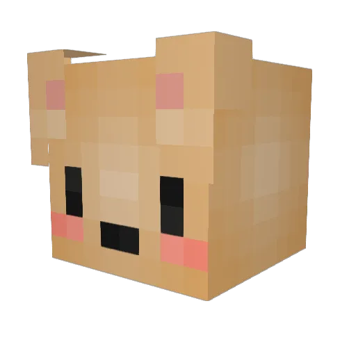 CalOtter Minecraft avatar head, 3D render