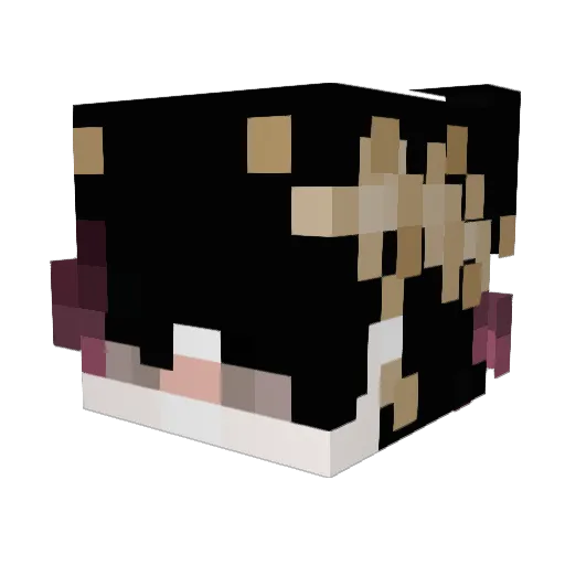 CalTolko Minecraft avatar head, 3D render