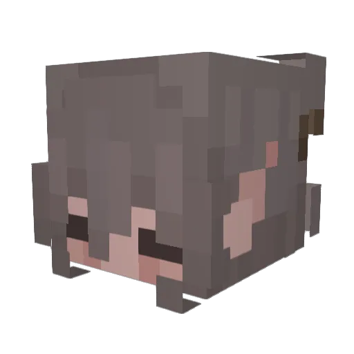 CalamariUwU Minecraft avatar head, 3D render