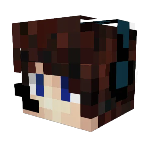 Calamech Minecraft avatar head, 3D render