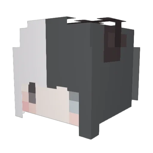 Calamitia Minecraft avatar head, 3D render
