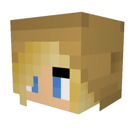 Calamity_12 Minecraft avatar head, 3D render