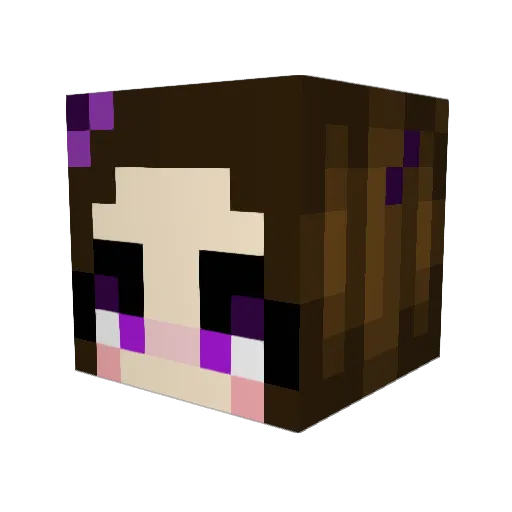 CalcetinMorado Minecraft avatar head, 3D render