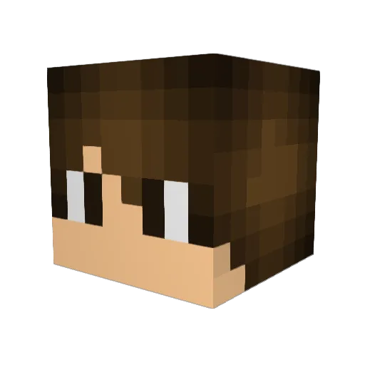 CalculusInfinity Minecraft avatar head, 3D render