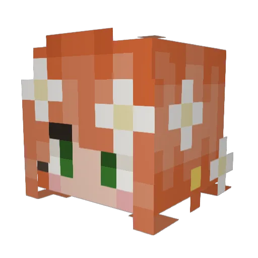 CalculusQueen Minecraft avatar head, 3D render