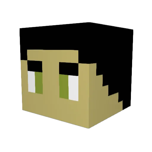 Caldson Minecraft avatar head, 3D render