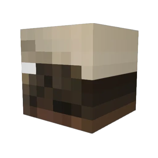 Caleb10200 Minecraft avatar head, 3D render