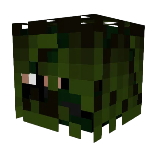 Caleb13360 Minecraft avatar head, 3D render