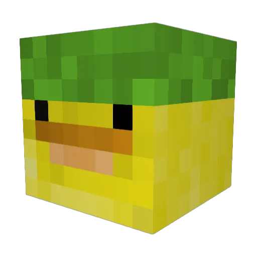 Caleb201414 Minecraft avatar head, 3D render