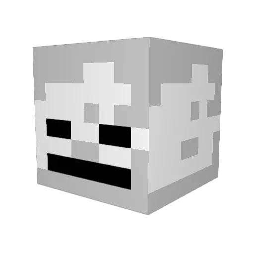 Caleb4206 Minecraft avatar head, 3D render