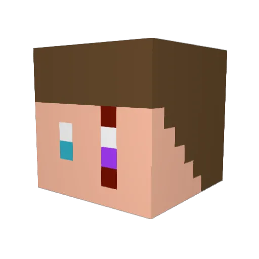 CalebGaming666 Minecraft avatar head, 3D render
