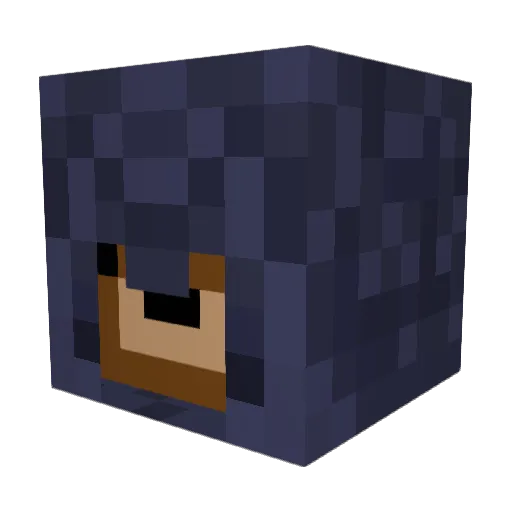 CalebGammon123 Minecraft avatar head, 3D render