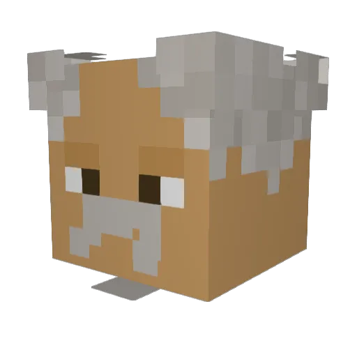 Caleb_26 Minecraft avatar head, 3D render