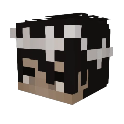 Calenin Minecraft avatar head, 3D render