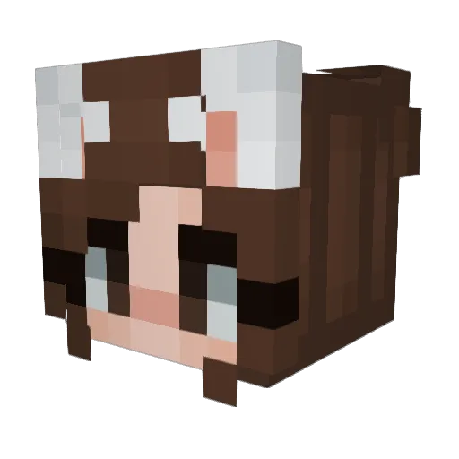 Cali902 Minecraft avatar head, 3D render