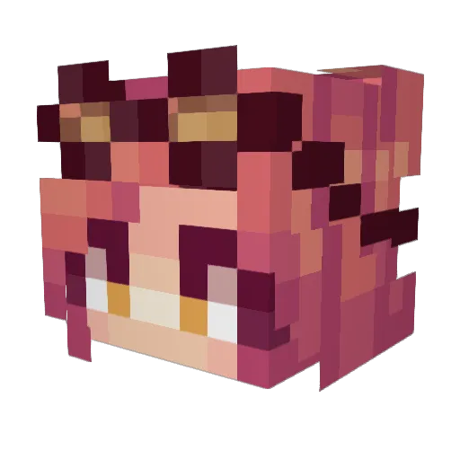 CaliMomo Minecraft avatar head, 3D render