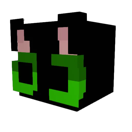 Calibournee Minecraft avatar head, 3D render