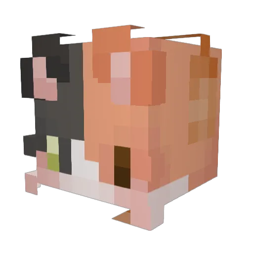 CalicoCrittr140 Minecraft avatar head, 3D render