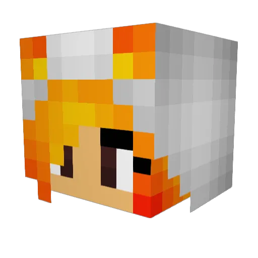 CalicoFox229 Minecraft avatar head, 3D render