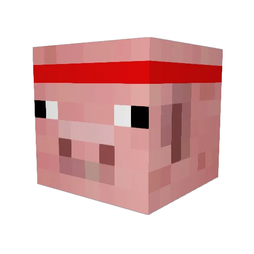CalicoJaX Minecraft avatar head, 3D render