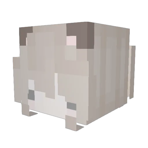 Calicopuddin Minecraft avatar head, 3D render