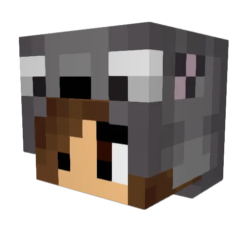 Calien Minecraft avatar head, 3D render