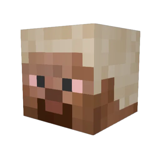 Californianfr Minecraft avatar head, 3D render