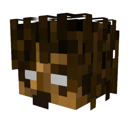 Calippee Minecraft avatar head, 3D render