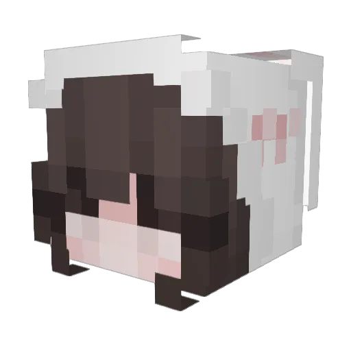 Calishdre Minecraft avatar head, 3D render